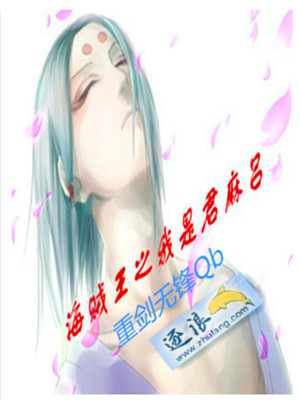 海贼王之我是君麻吕