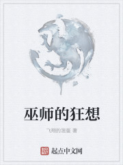 巫师的狂想